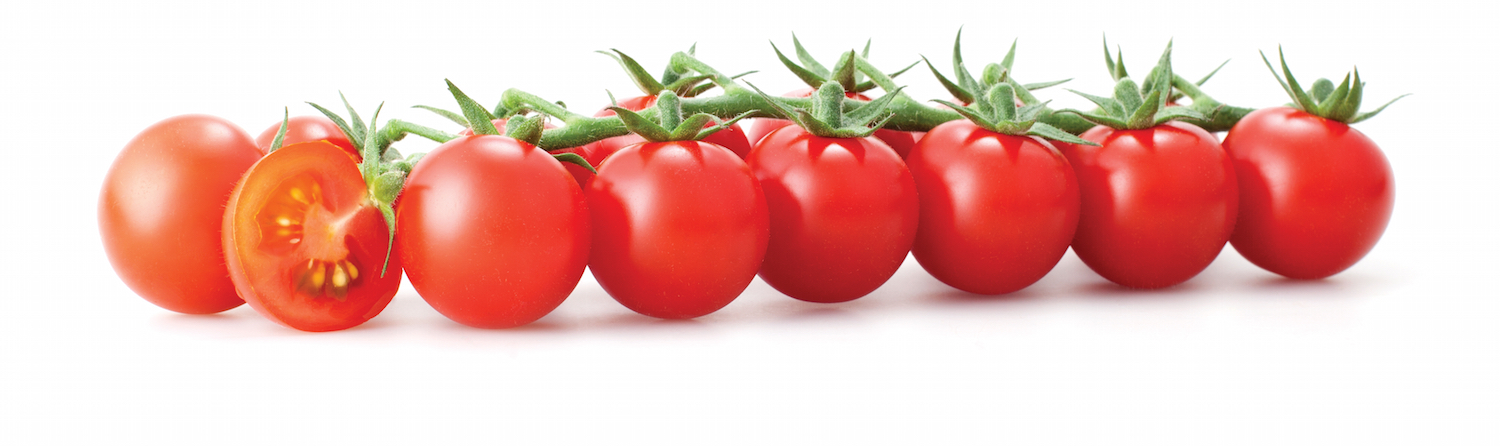 Tomato